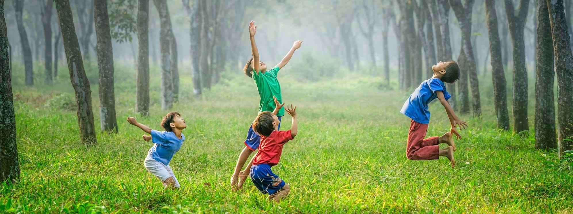 four boy playing ball on green grass