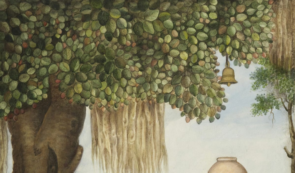 Sanskrit Literacy Project